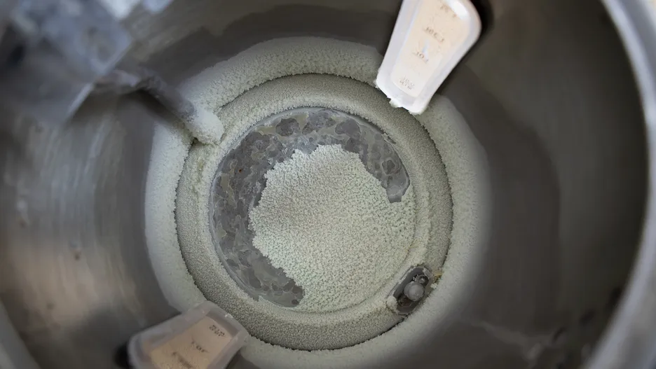 Gießen Sie es anstelle von Essig in den Wasserkocher. Der Kalk löst sich in ganzen Stücken.