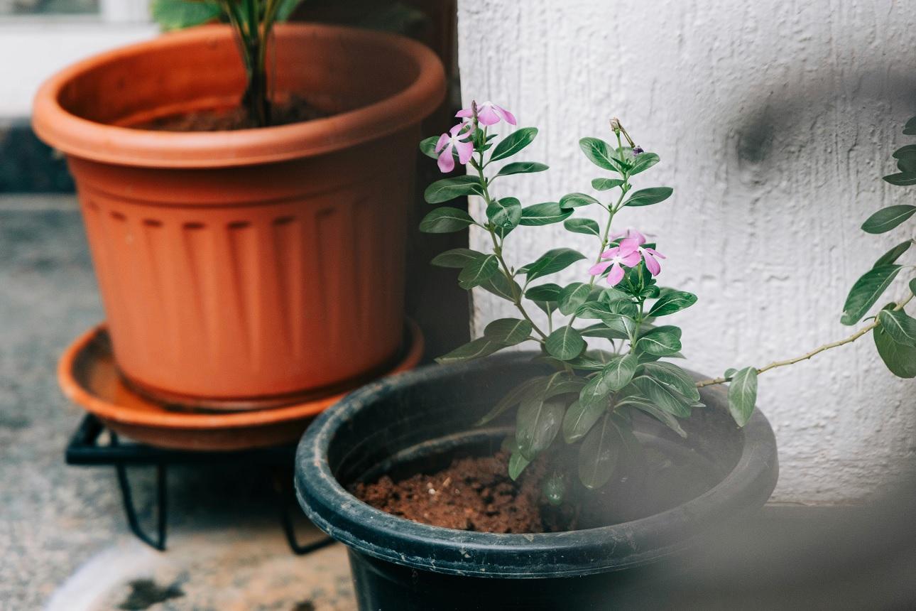 Auf Wiedersehen, Tontöpfe: eine kostengünstige und kreative Lösung, die im Garten für Furore sorgen wird