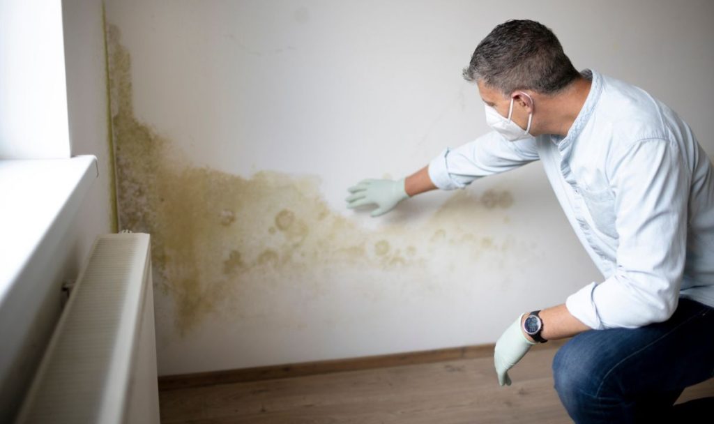 Weder Bleichmittel noch Ammoniak: ein einfacher Haushaltrick, den Maler empfehlen, um Feuchtigkeit von Wänden zu entfernen