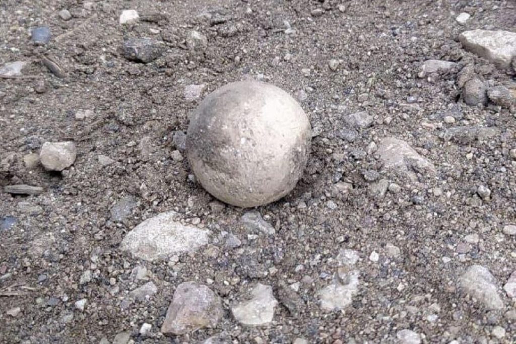 In Argentinien wurde ein fast unbeschädigtes Dinosaurierei gefunden: Es könnte einen sich entwickelnden Embryo eines fleischfressenden Dinosauriers enthalten