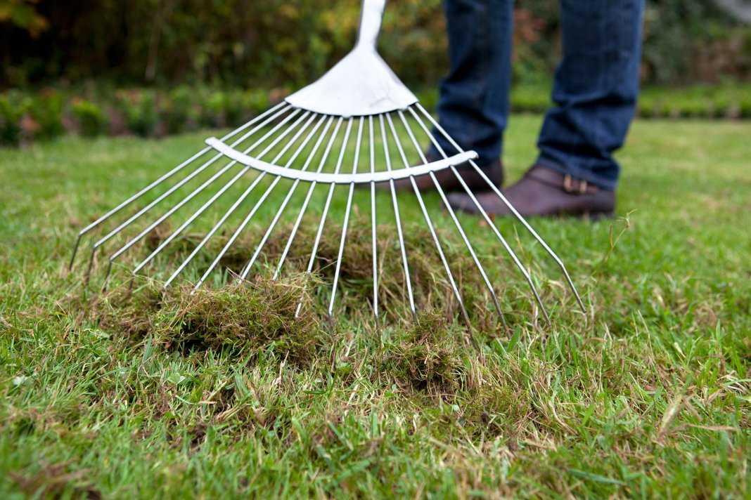 Das letzte Mähen des Rasens vor dem Winter. Verpassen Sie diesen Termin nicht
