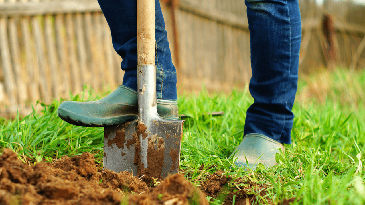 Wenden Sie den Boden in Ihrem Garten im Herbst nicht