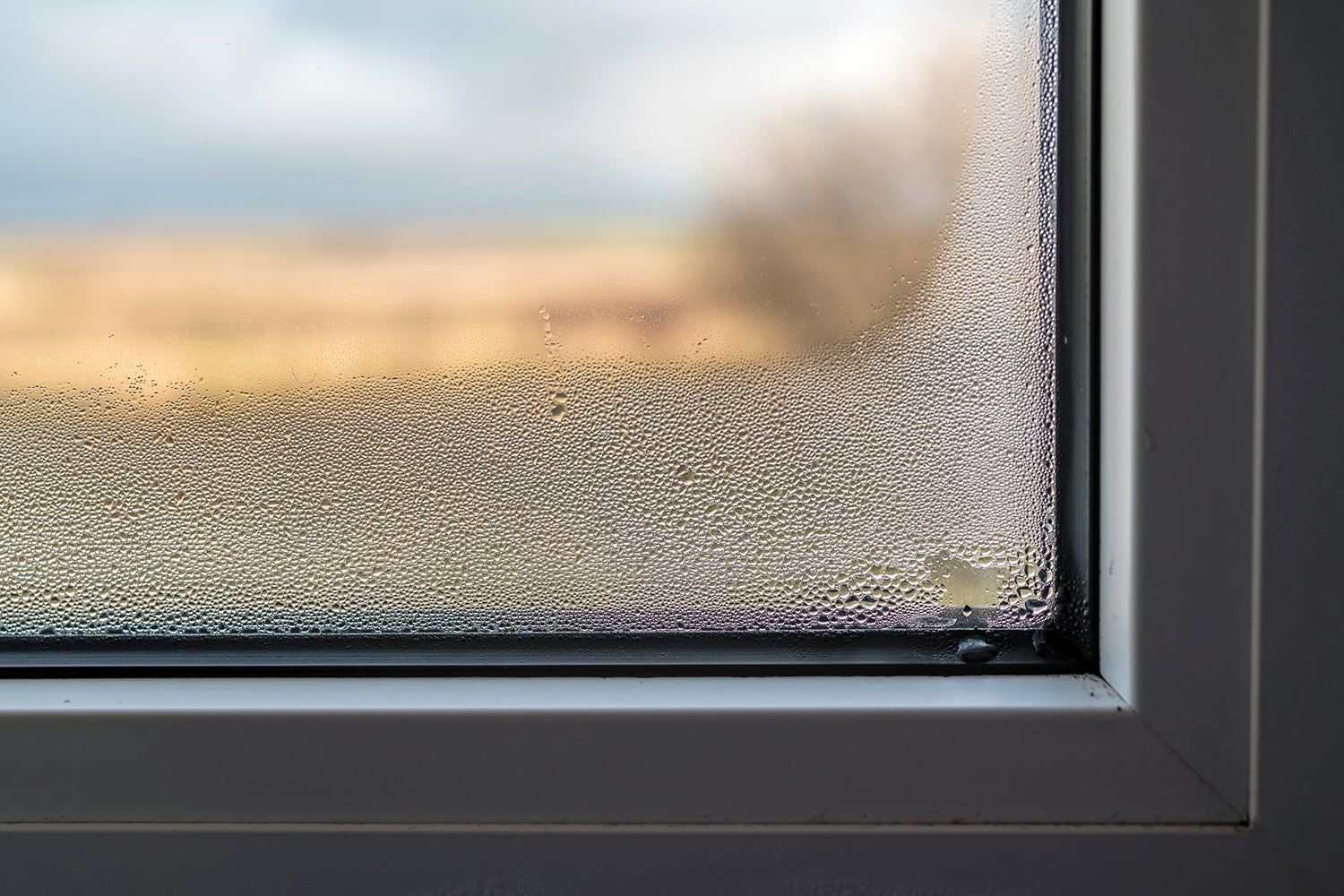 Füllen Sie es in ein Glas und stellen Sie es abends auf die Fensterbank. Das Problem der Feuchtigkeit an den Fenstern wird ein für alle Mal verschwinden. Methode zur Bekämpfung von beschlagenen Scheiben