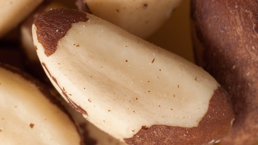 Wie viele Paranüsse kann man pro Tag essen? Weniger als Sie denken