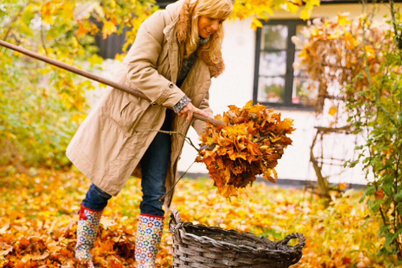Machen Sie das mit den abgefallenen Blättern in Ihrem Garten, damit sie schneller verrotten und den Boden anreichern. Anstatt die Blätter im Herbst zu verbrennen, verwandeln Sie sie in nahrhaften Dünger