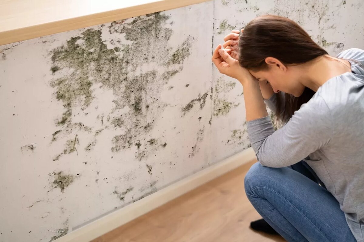 Weder Bleichmittel noch Ammoniak: ein einfacher Haushaltrick, den Maler empfehlen, um Feuchtigkeit von Wänden zu entfernen